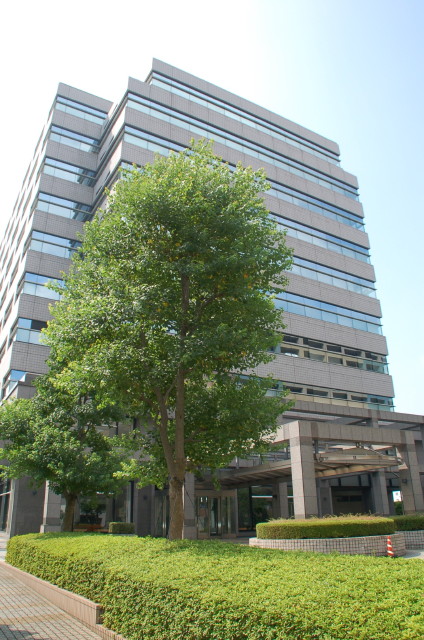 img0174.jpg